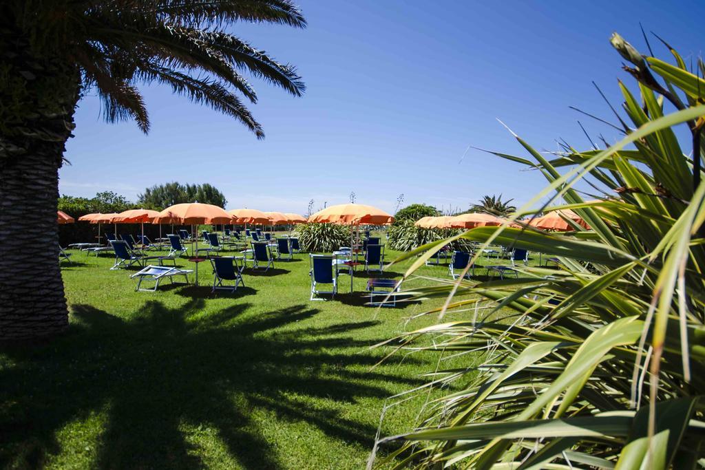 Hotel Torre Del Sole Tarquinia Zewnętrze zdjęcie
