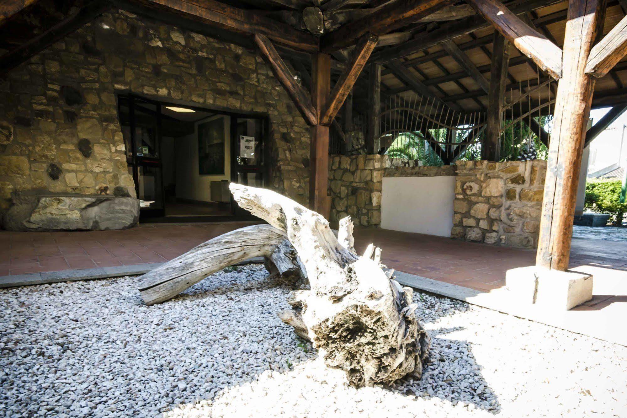 Hotel Torre Del Sole Tarquinia Zewnętrze zdjęcie